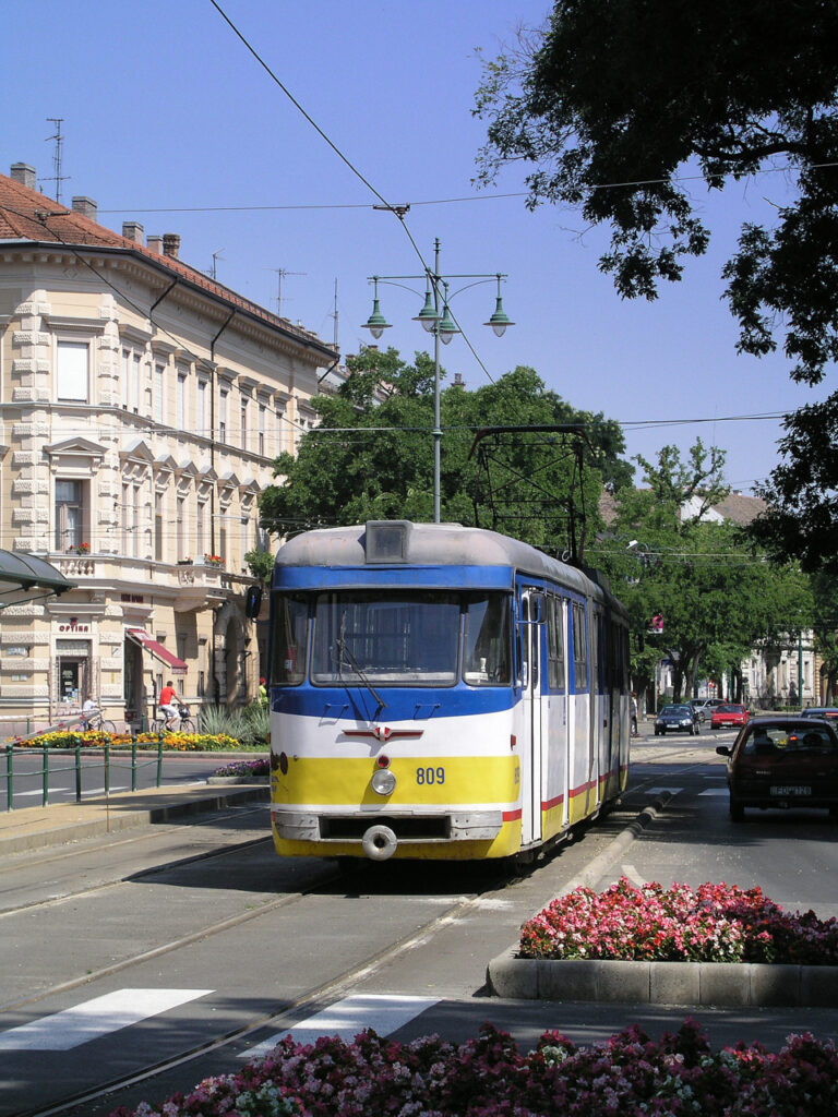 Pek şeker değil mi?